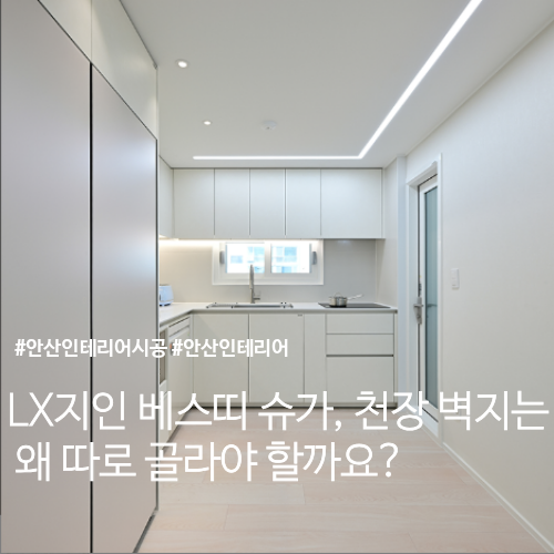 LX 지인 베스띠 슈가, 천장 벽지는 왜 따로 골라야 할까요?