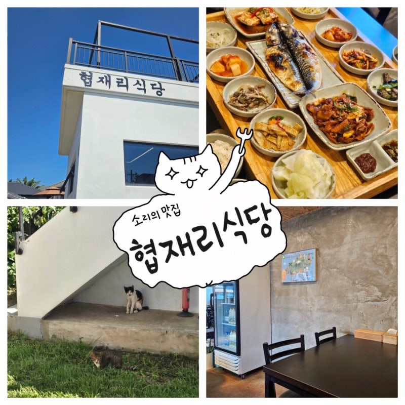 고등어,제육,갈치조림이 있는데도 반찬이 몇개야~!!가정식백반으로 추천하는 제주 [협재리식....