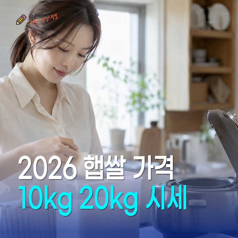 2026 햅쌀 가격, 10kg 20kg 시세 정리