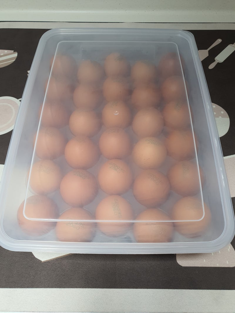 다이소 냉장고 정리 추천 템!! ★계란 보관함부터 진공 밀폐 용기·압축기 사용 후기~