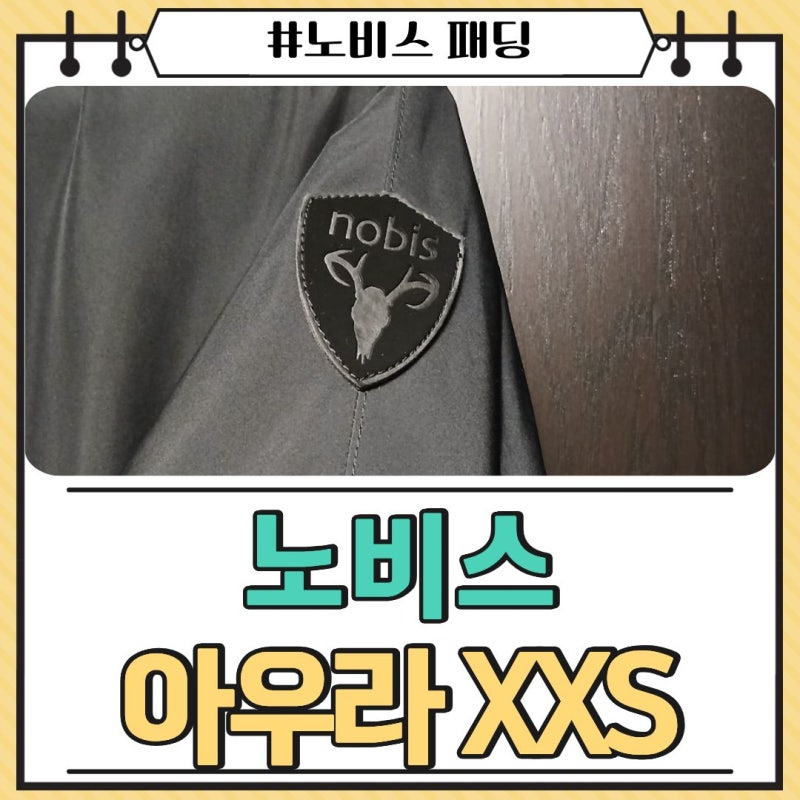 노비스 아우라 xxs 구매후기/ 착용샷 / 사이즈/ 가격
