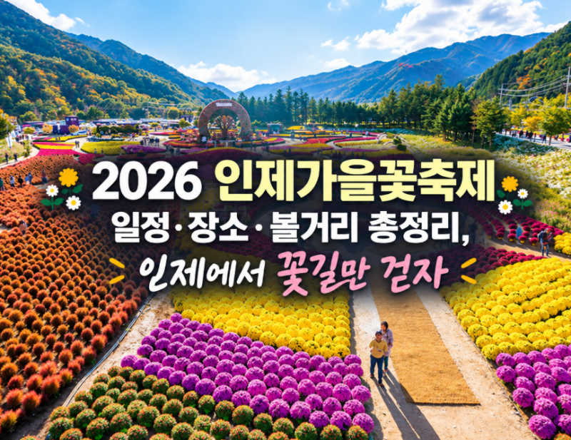 2026 인제가을꽃축제 일정·장소·볼거리 총정리,인제에서 꽃길만 걷자