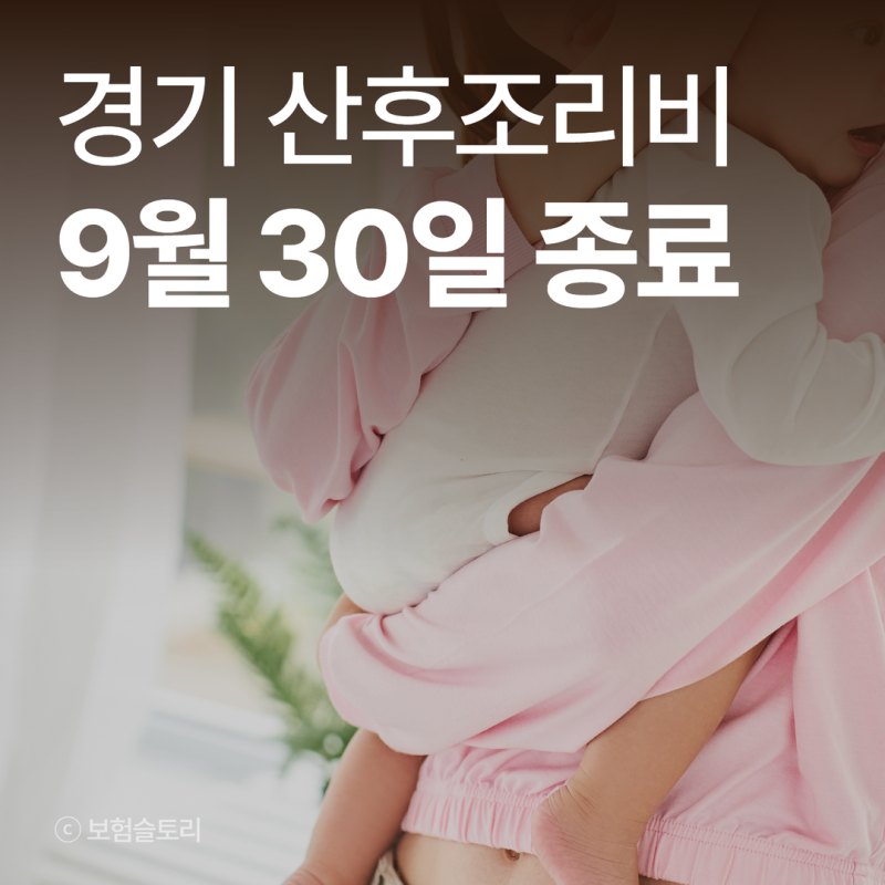 경기도 산후조리비 지원 9월 30일 폐지, 종료하는 이유 (+대체 지원금 총정리)
