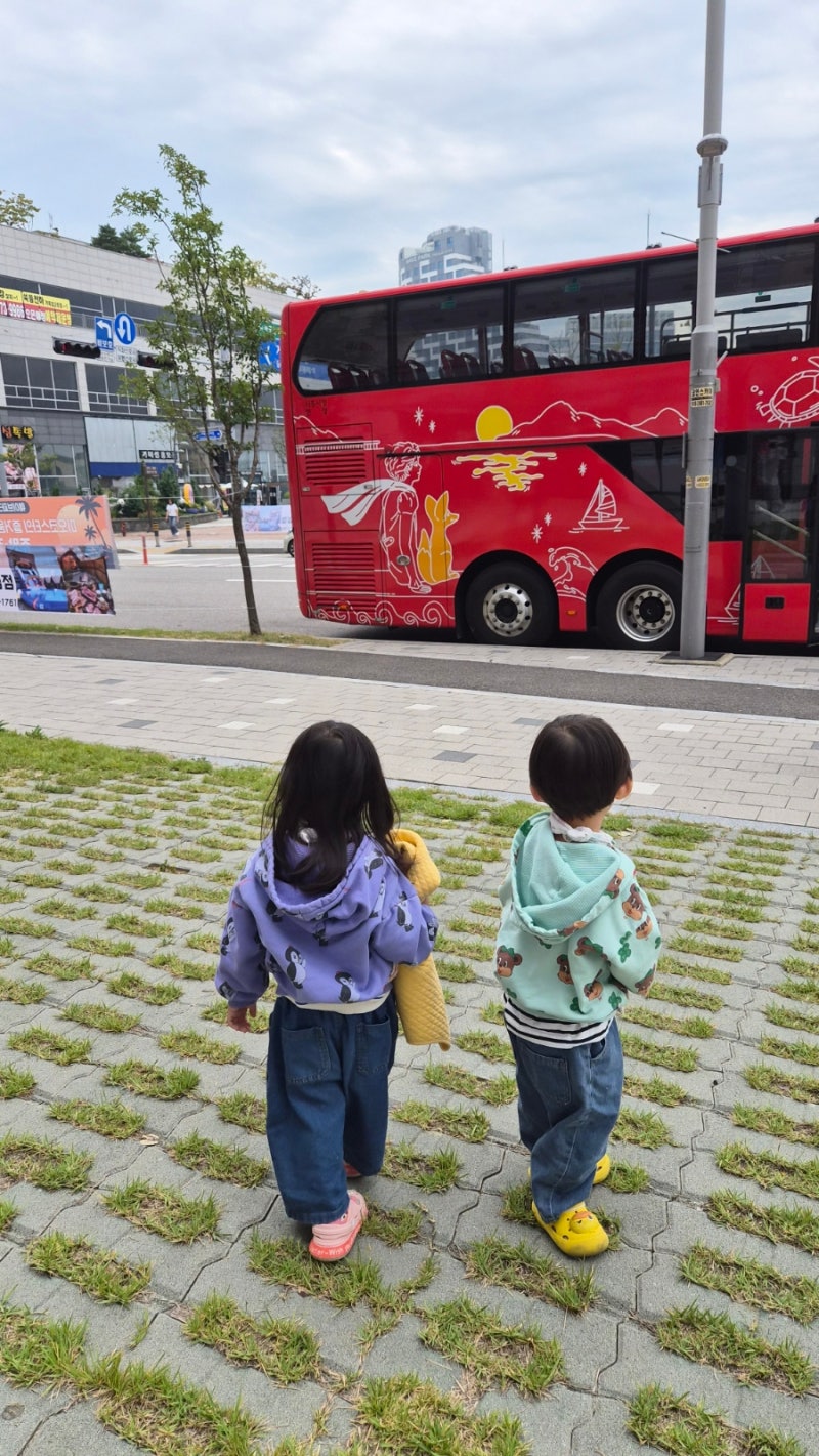 [아이와 가볼만한곳] 33개월 남여 쌍둥이와 거북섬 버스 투어 & 오이도 바지락 칼국수 나들이 ....