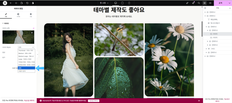 [WordPress] 엘리멘터(Elementor) 무료 버전: 이미지를 컨테이너 크기(100%)에 딱 맞추는 완전 정리