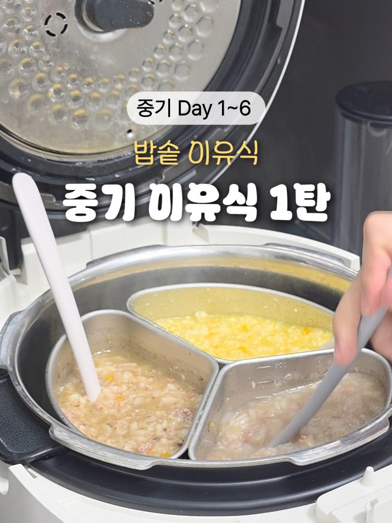 중기 밥솥이유식 레시피 1탄! 꿈비 10인용 밥솥칸막이 황금비율 공유