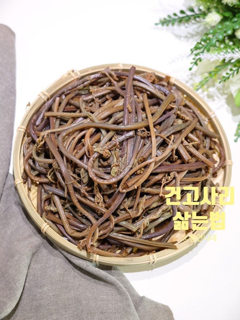건고사리 삶는 법 말린고사리 쓴맛 없이 삶기 시간