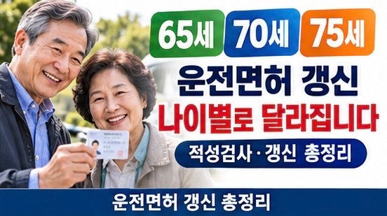 2026 고령운전자 운전면허 갱신·적성검사 총정리｜65세·70세·75세 기준, 교육·기간·비용