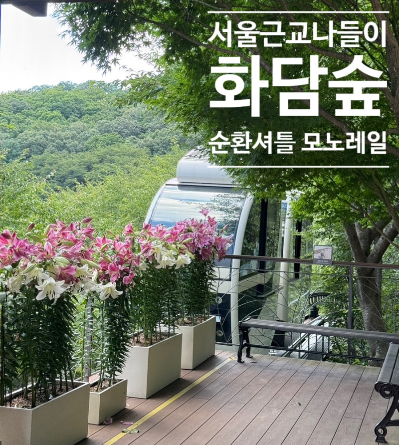 곤지암리조트 화담숲 완벽 코스,순환셔틀, 화담채 미디어아트, 모노레일, 코스 총정리