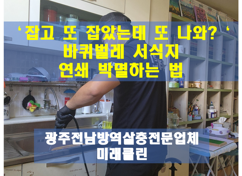 '잡고 또 잡았는데 또 나와?' 바퀴벌레 서식지 연쇄 박멸하는 법