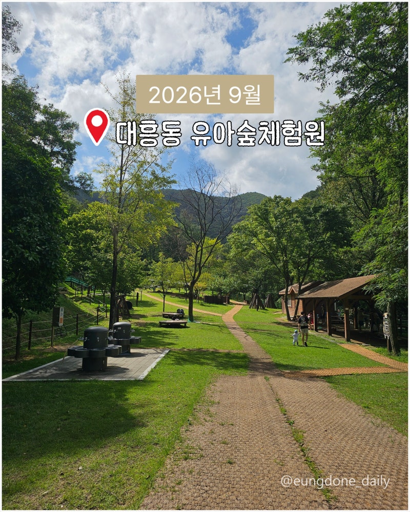 대구 가을 아이와 가볼 만한 곳 대흥동 유아숲체험원 9월 방문 후기
