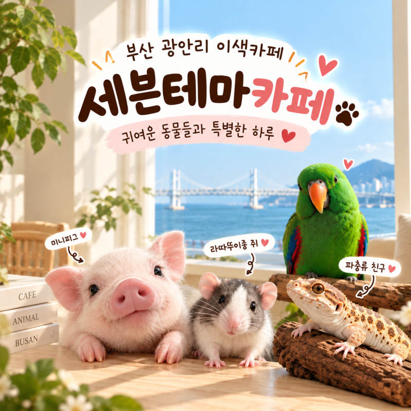 부산 광안리 세븐테마카페｜동물체험·광안대교 오션뷰·실내데이트·아이랑 가볼만한곳