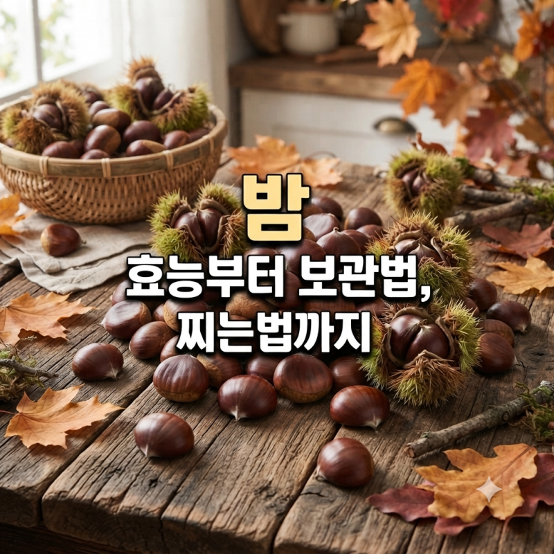밤제철 언제일까? 밤효능부터 밤보관법, 밤찌는법 총정리