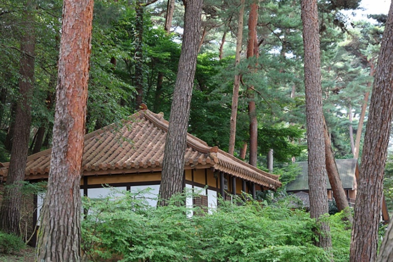 안면도 자연휴양림 [ 26. 9. 12 ~ 9. 13 ]