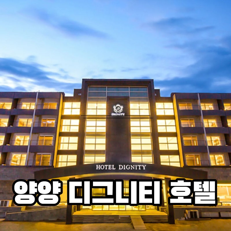 디그니티 호텔 양양 낙산해수욕장 숙소 조식 객실 가격 후기