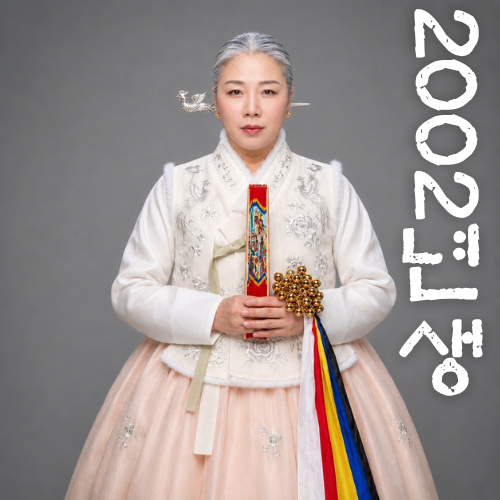 [운세] 2026년 병오년 하반기, 2002년생 25살 임오생 말띠 운세