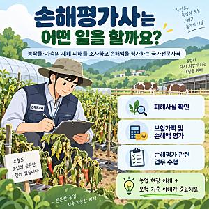 손해평가사 하는 일부터 2026 시험일정·과목·합격률·취업·전망까지 총정리