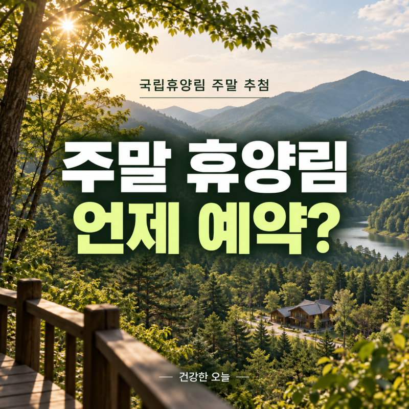 국립휴양림 주말 예약 언제?｜숲나들e 추첨 일정과 놓쳤을 때 확인할 것