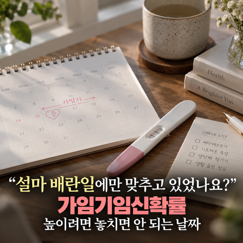 "설마 배란일에만 맞추고 있었나요?" 가임기임신확률 높이려면 놓치면 안 되는 날짜