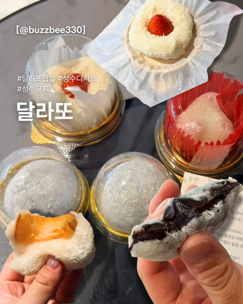 성수 달라또 팝업 기간 · 위치 · 모찌 내돈내산 후기 디저트 추천 (feat.한정선과 비교)