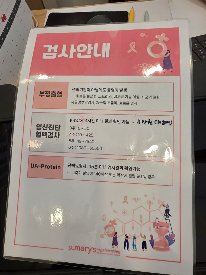 [임신 초기 피검사 비용, 피검사 더블링]