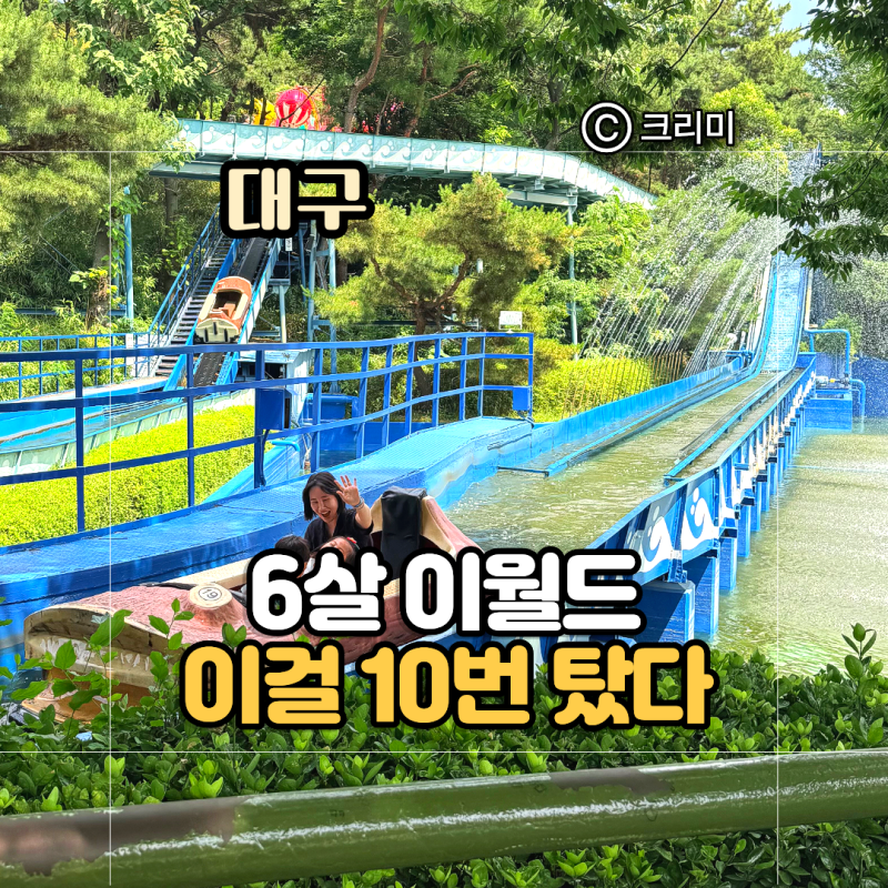 대구 가을나들이 아이와 가볼만한곳 이월드 놀이공원 6살 종일권 평일 방문후기
