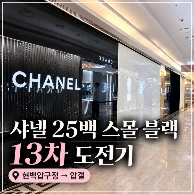 샤넬25백 스몰 블랙 13차 도전기｜일욜 현백 압구정→압갤 오후런, 결국 다른 컬러를?