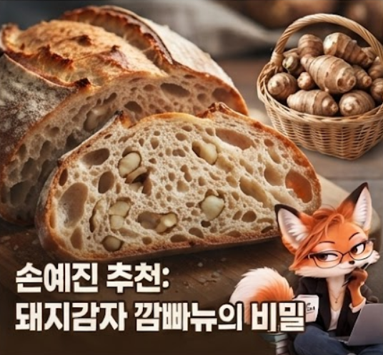 냉장고를 부탁해 손예진 돼지감자 깜빠뉴,파는 곳부터 품절대란 이유까지