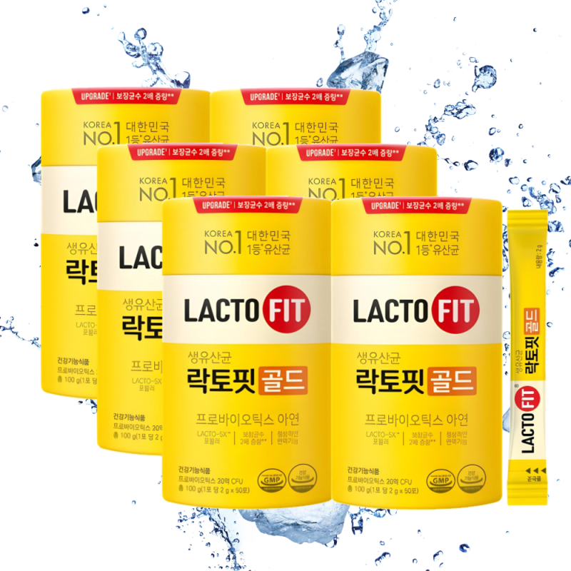 락토핏 골드 6통 직접 써본 솔직 사용기