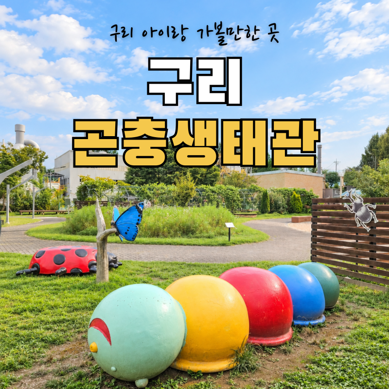 구리 아이랑 가볼만한곳 곤충생태관 무료 체험｜9월 나비관 재방문 후기