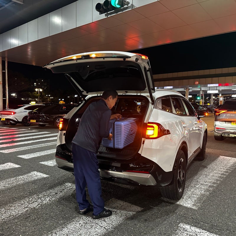 김포공항 택시 추천 새벽 비행기, 대중교통 끊겼다면? 강남 새벽 픽업 콜택시 후기