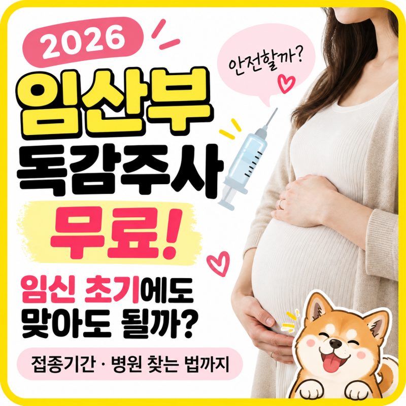 임산부 독감주사 무료, 임신 초기에도 맞아도 될까? 2026 접종기간·병원 찾는 법