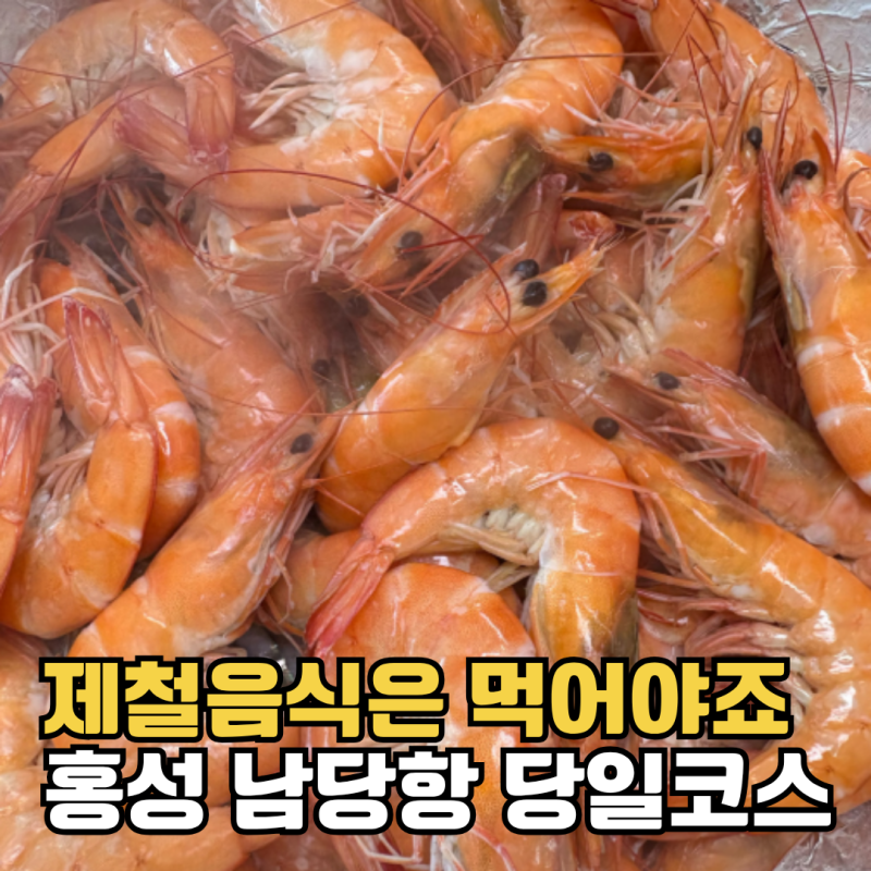 남당리 남당항 대하축제 즐기기 ( 맛집 식당 소개 )