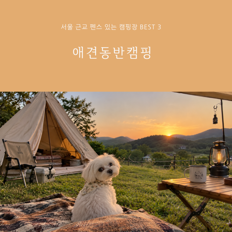 반려견동반캠핑 서울 근교 펜스 있는 캠핑장 BEST 3 및 필수 유의사항