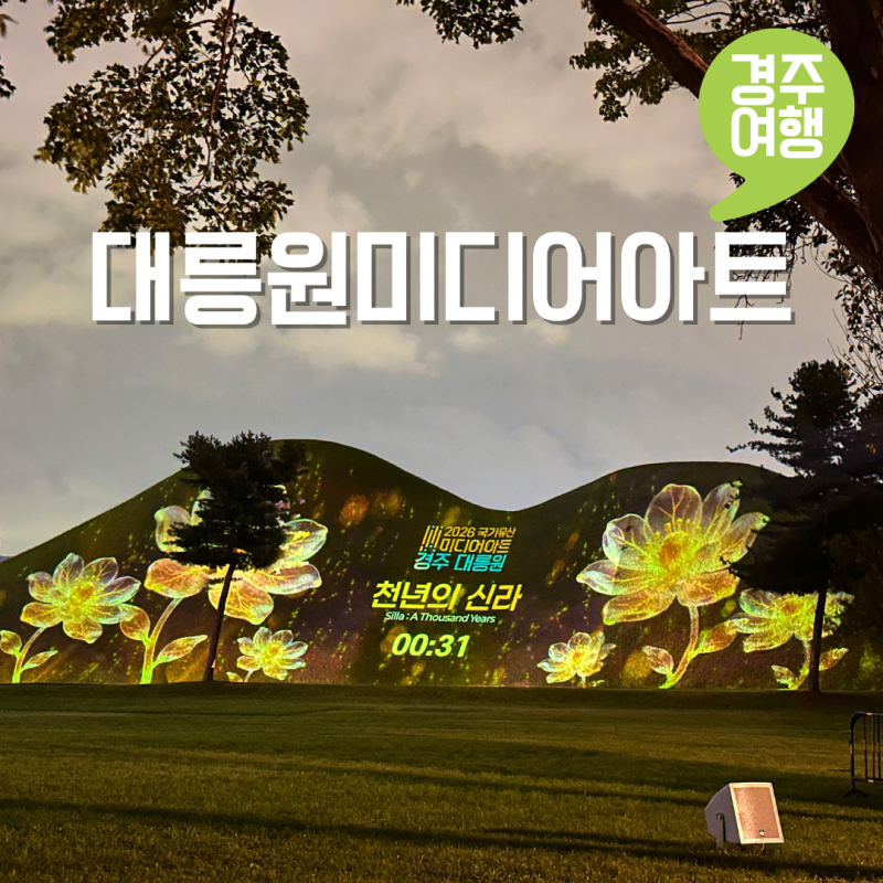 2026 경주 국가유산 미디어아트 대릉원 야경 명소 투어 천마총 무료체험