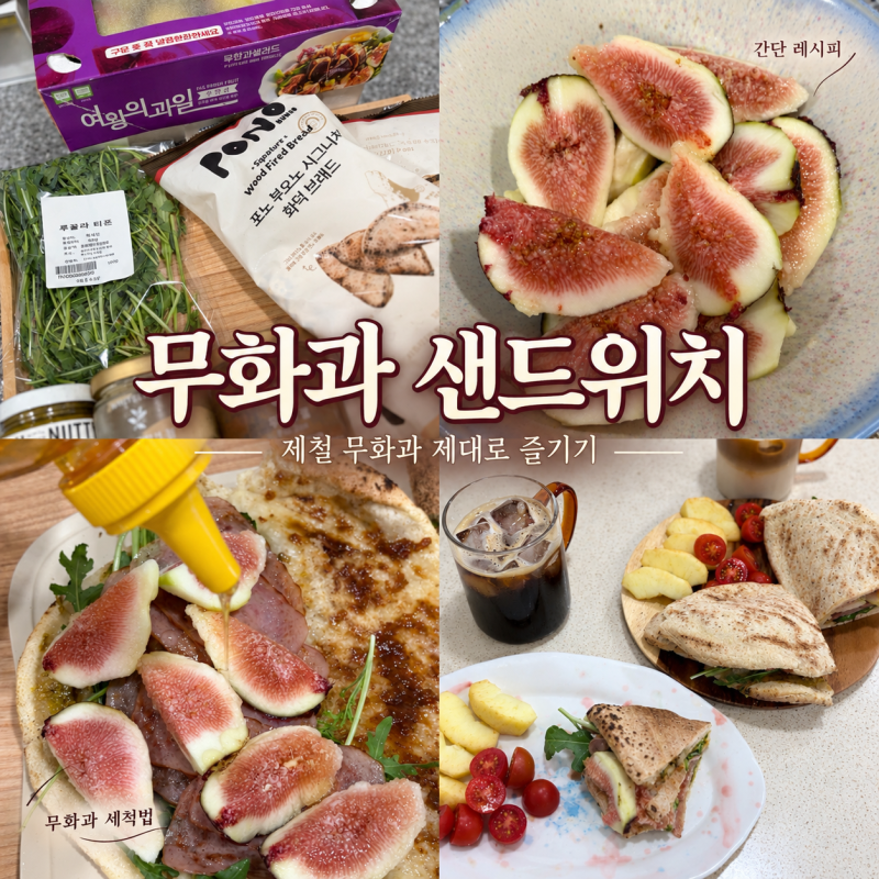 요즘 알고리즘 장악한 무화과 샌드위치, 무화과 세척부터 만드는법까지
