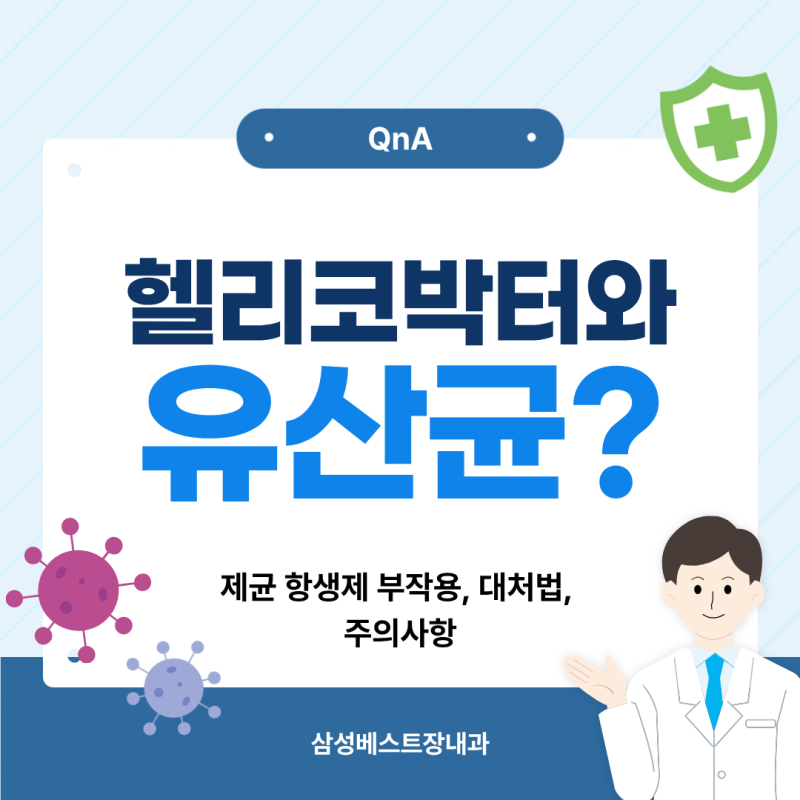 [울산 동구 내과] 헬리코박터 제균약 먹을 때 유산균을 먹는 이유 - 제균약 부작용 대처법, 주....