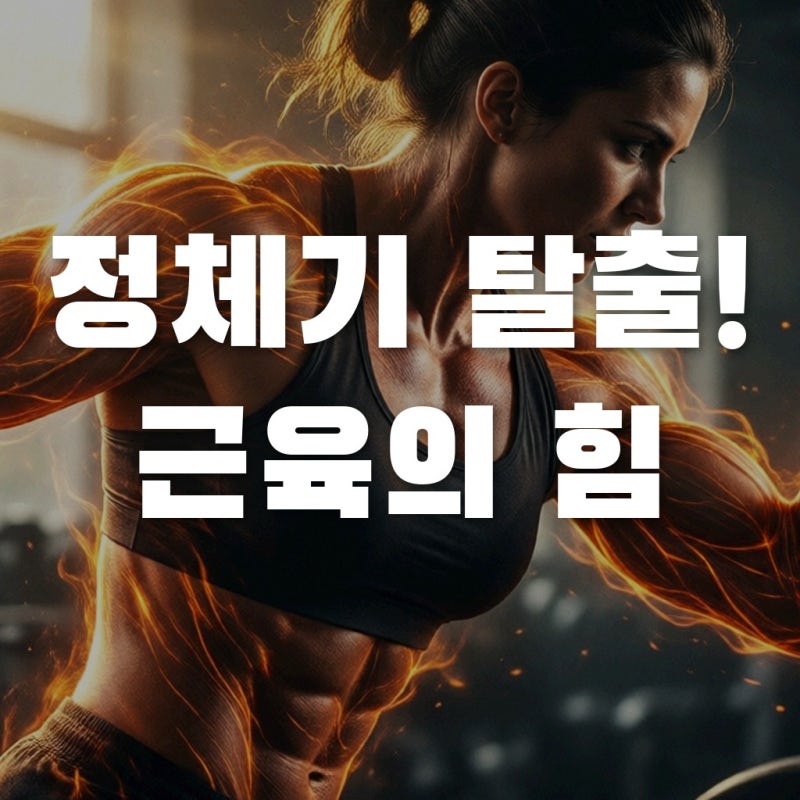 다이어트 정체기 탈출, 근육 호르몬 마이오카인 효과로 지방 태우기