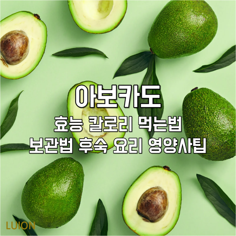 아보카도 효능 칼로리 먹는법 보관법 후숙 요리 아보카도오일 영양사팁