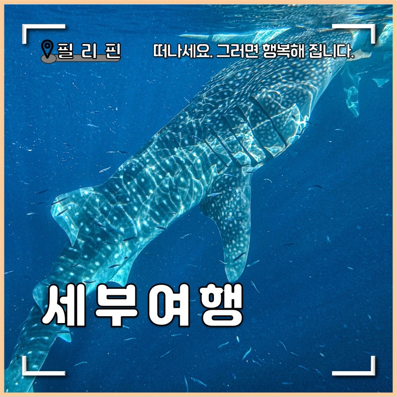 필리핀 세부 여행 호핑투어 후기