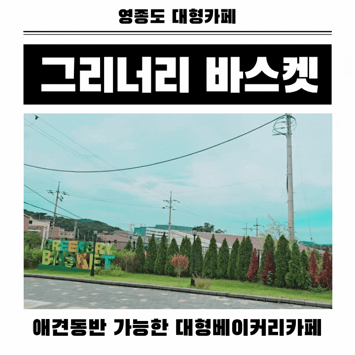 영종도 대형카페 그리너리 바스켓 | 반려견 동반카페 필수로 챙겨야하는건?