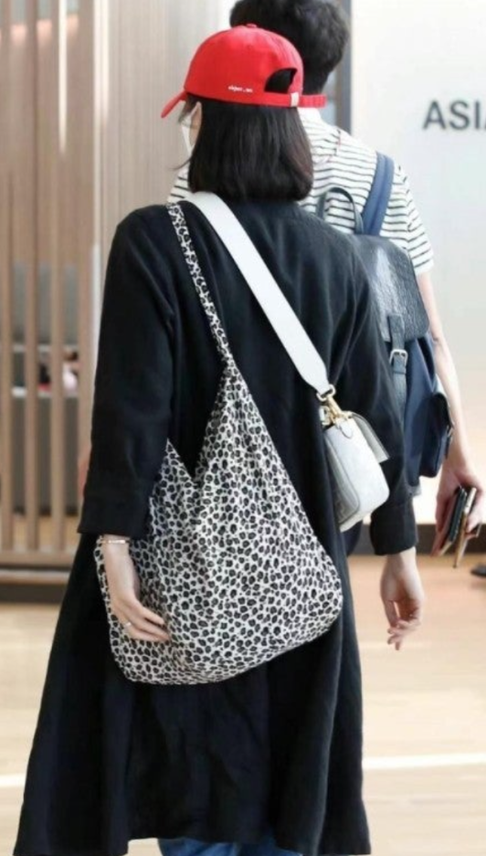 Song Hye-kyo's Leopard Print Bag, "It's Not Luxury?" The Price is a Twist... Why Celebrities Love It