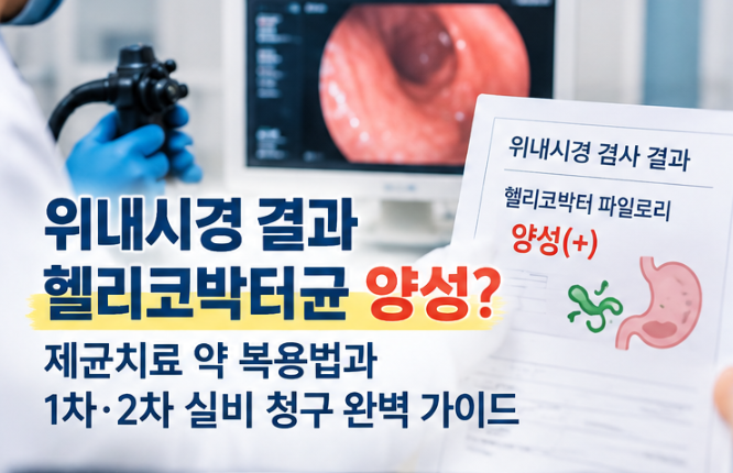 헬리코박터균 양성이라면? 제균치료 약 복용법부터 1차 2차 실비보험 청구까지