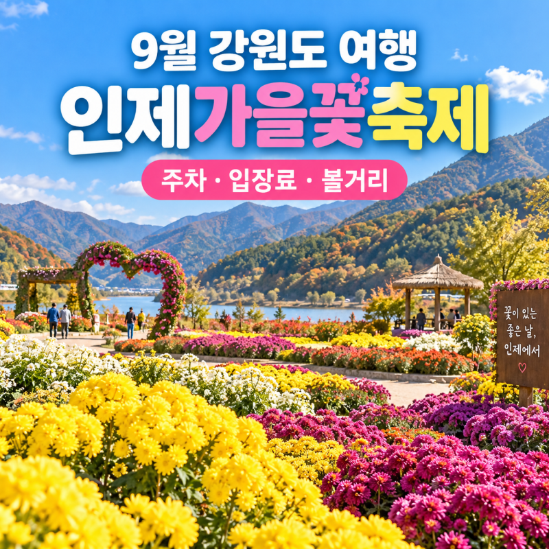 9월 강원도 가볼만한곳, 인제가을꽃축제 주차·입장료·볼거리 총정리