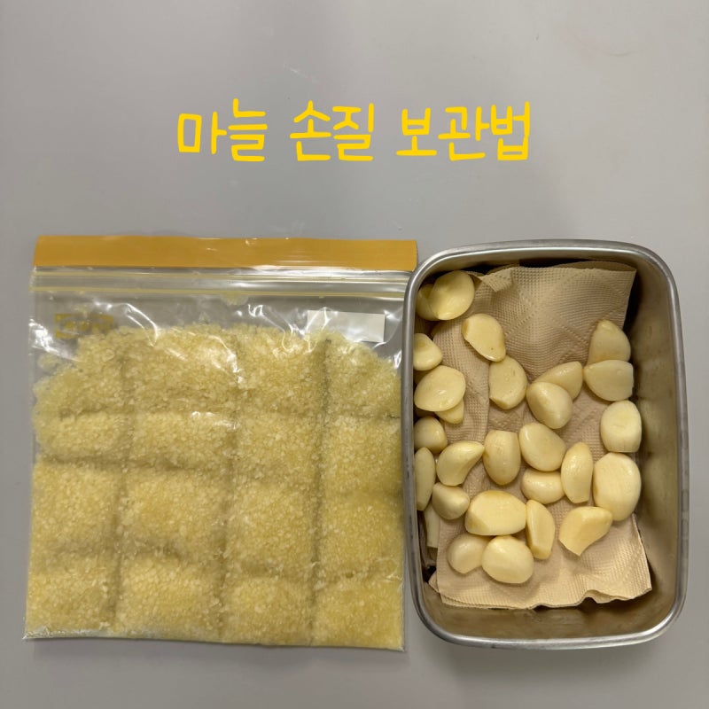 마늘 손질 보관법｜통마늘 냉장보관부터 다진마늘 냉동보관까지