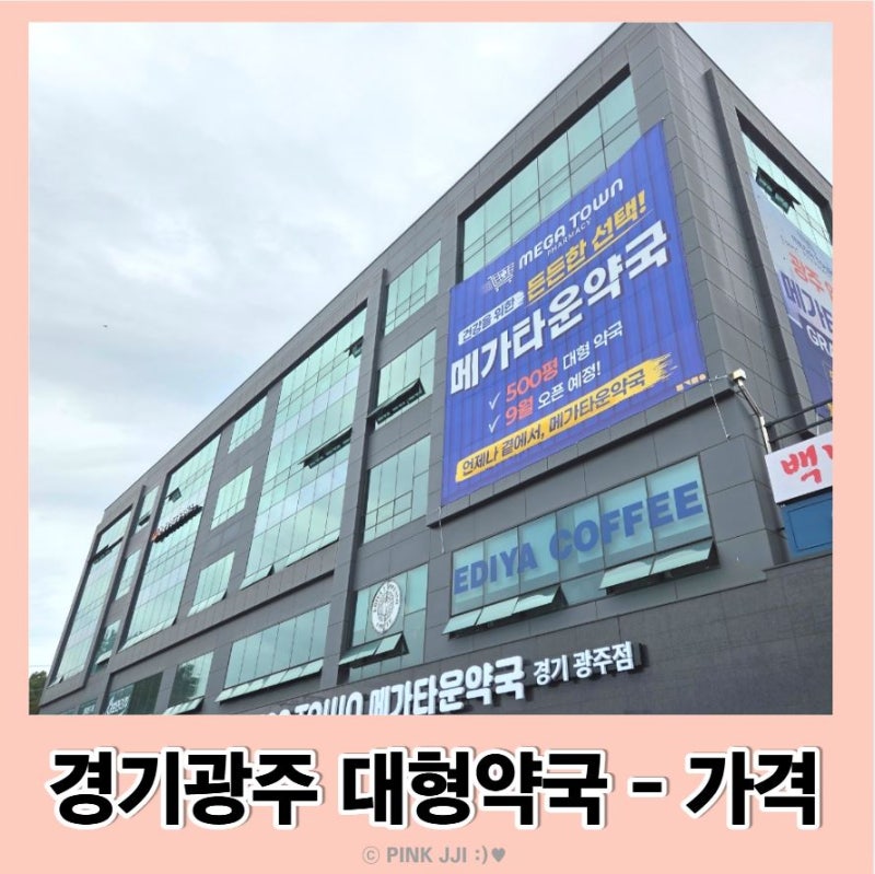 경기광주 메가타운 창고형 약국 제품별 가격표 사진