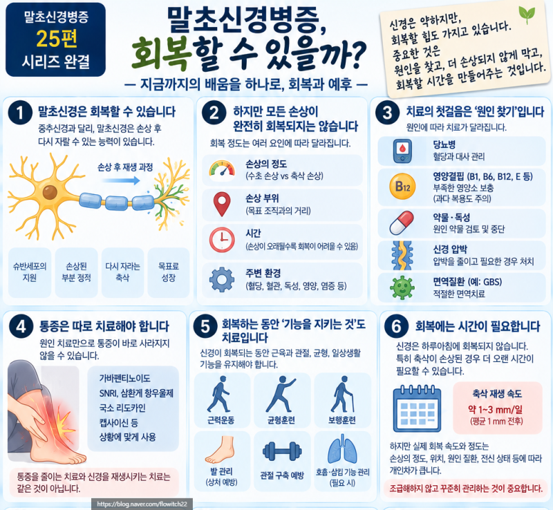 말초신경병증의 회복과 예후 그리고 시리즈 마지막 이야기(25최종)