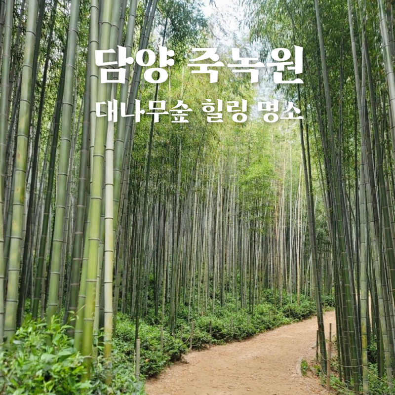 담양 죽녹원 가기 전 이건 꼭 알아두세요! 죽녹원 주차장 꿀팁부터 입장료, 주변 가볼만한 곳....