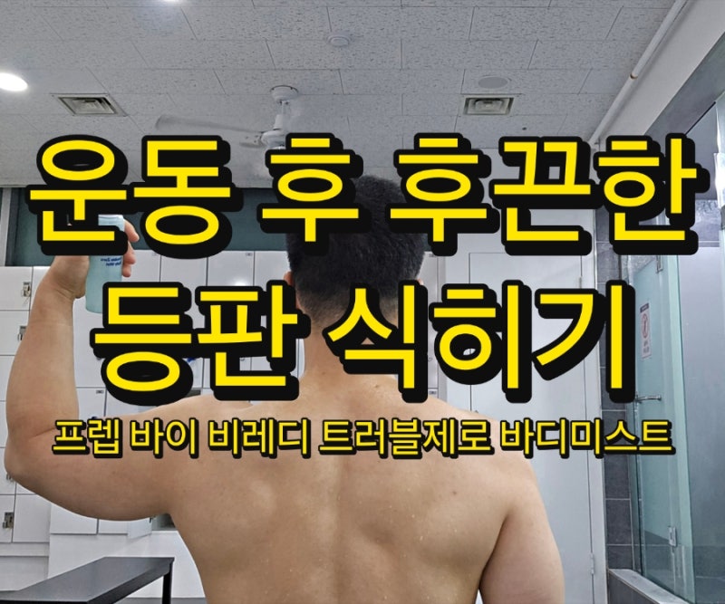 [다이소 바디미스트] 운동 후 등 열감 식히고 피부 진정시키는 프렙 바이 비레디 트러블제로 ....