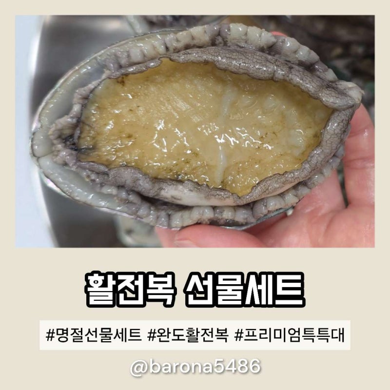 명절 선물 추석 선물세트 추천 완도 활전복